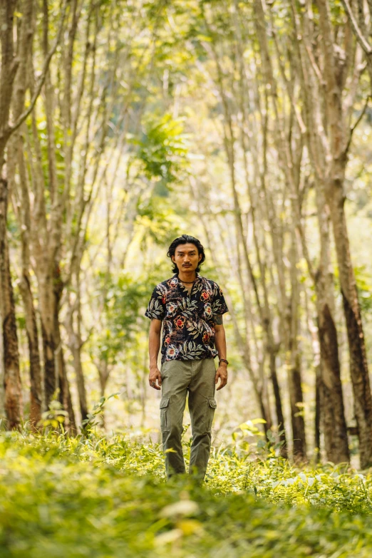 a man is walking through the woods near many trees