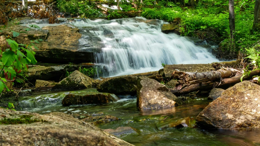 a small waterfall in the middle of a forest