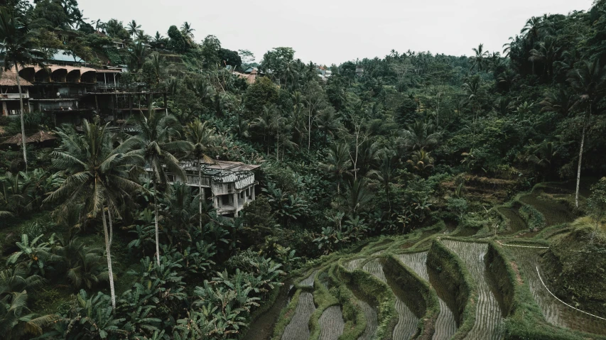 a forest area with an old style house built on top