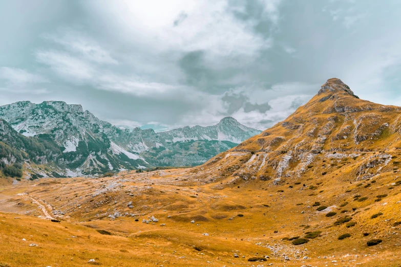 an alpine mountain range with grass and bushes