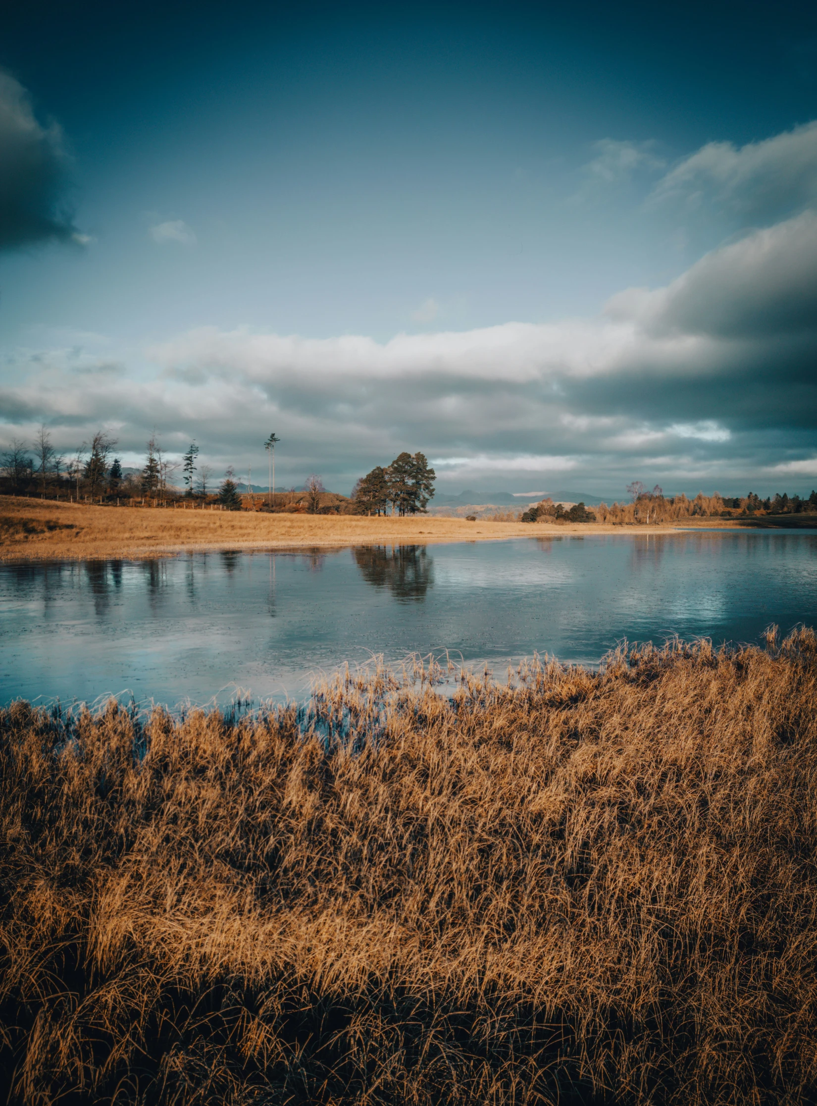 a scenic view of the water, sky, and fields