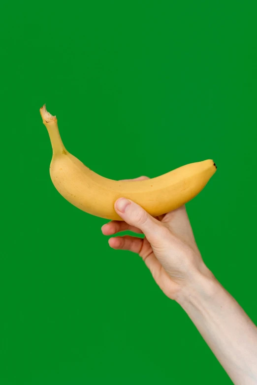 a hand holds a banana in front of a green background