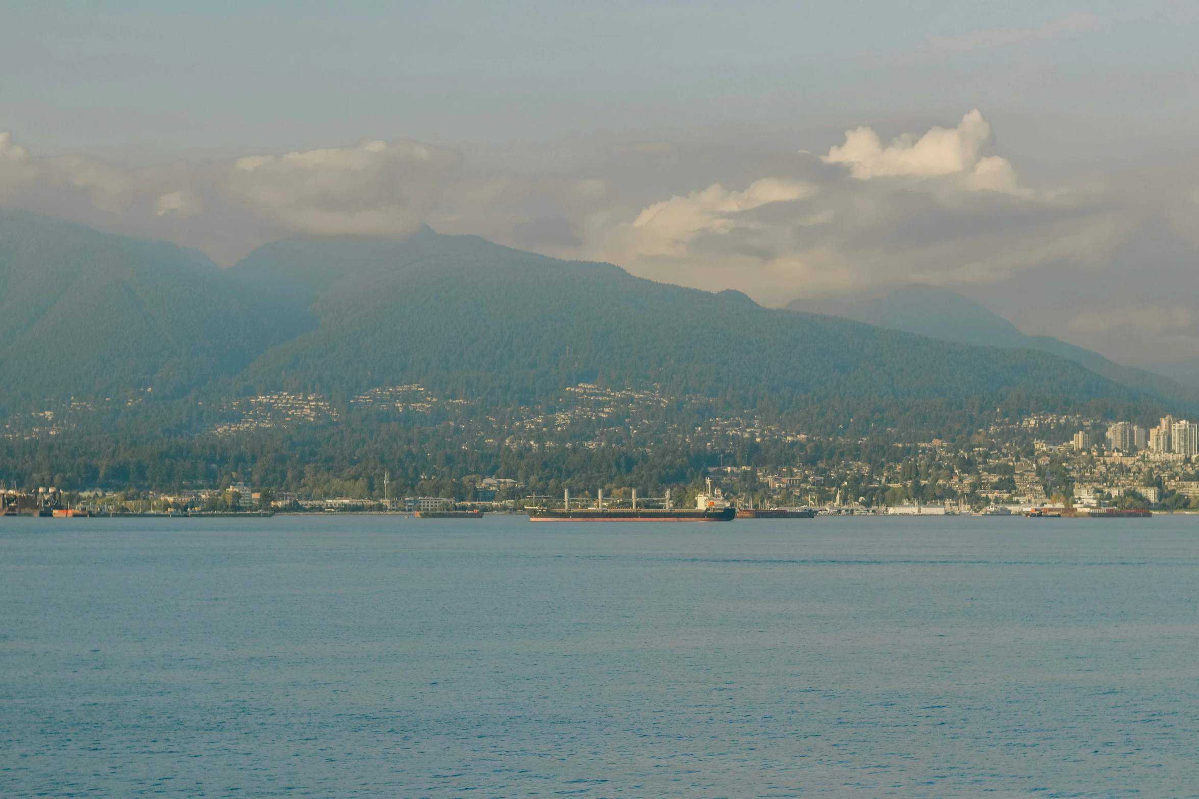 large cargo ships near a city in the ocean