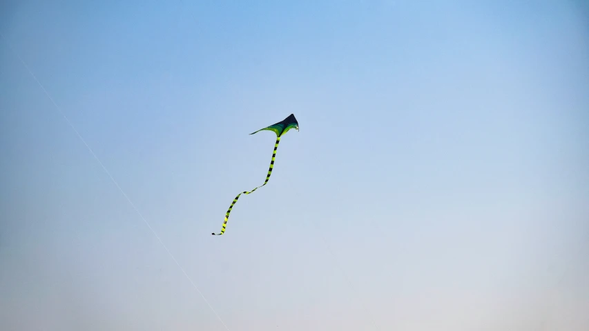 a kite flying in a blue sky with some birds