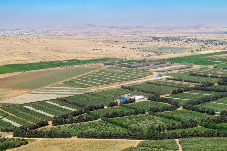 an open land with trees and water in the background