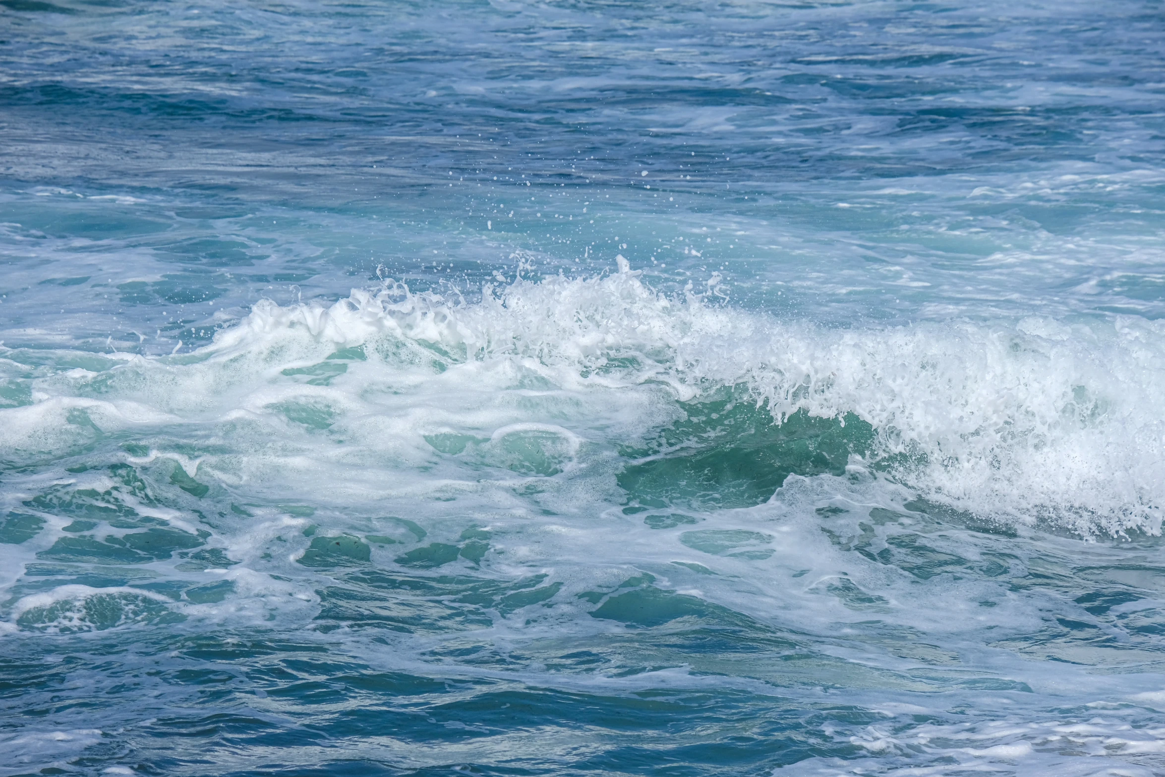 a po of the front end of a small boat