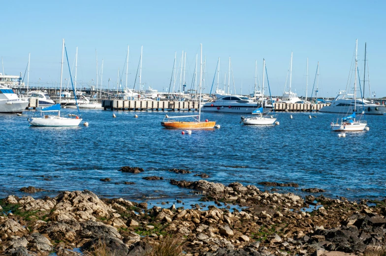 the marina has lots of boats out on the water