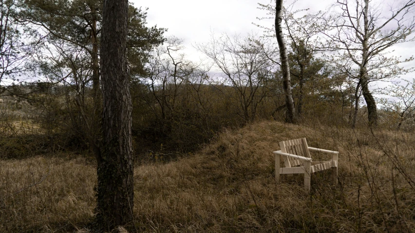 an empty bench sitting in the grass surrounded by trees