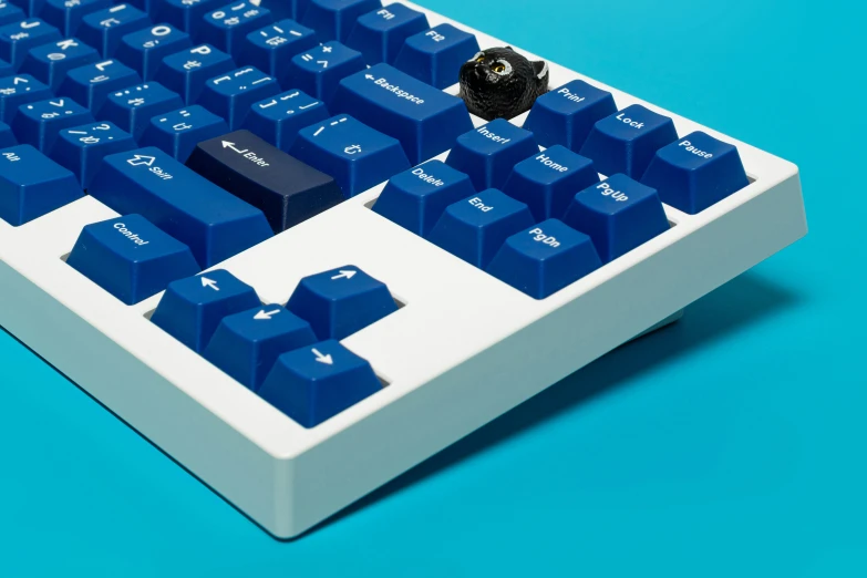 an image of a blue and white computer keyboard