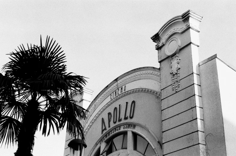 a building with palm trees in the foreground and cloudy sky in the background