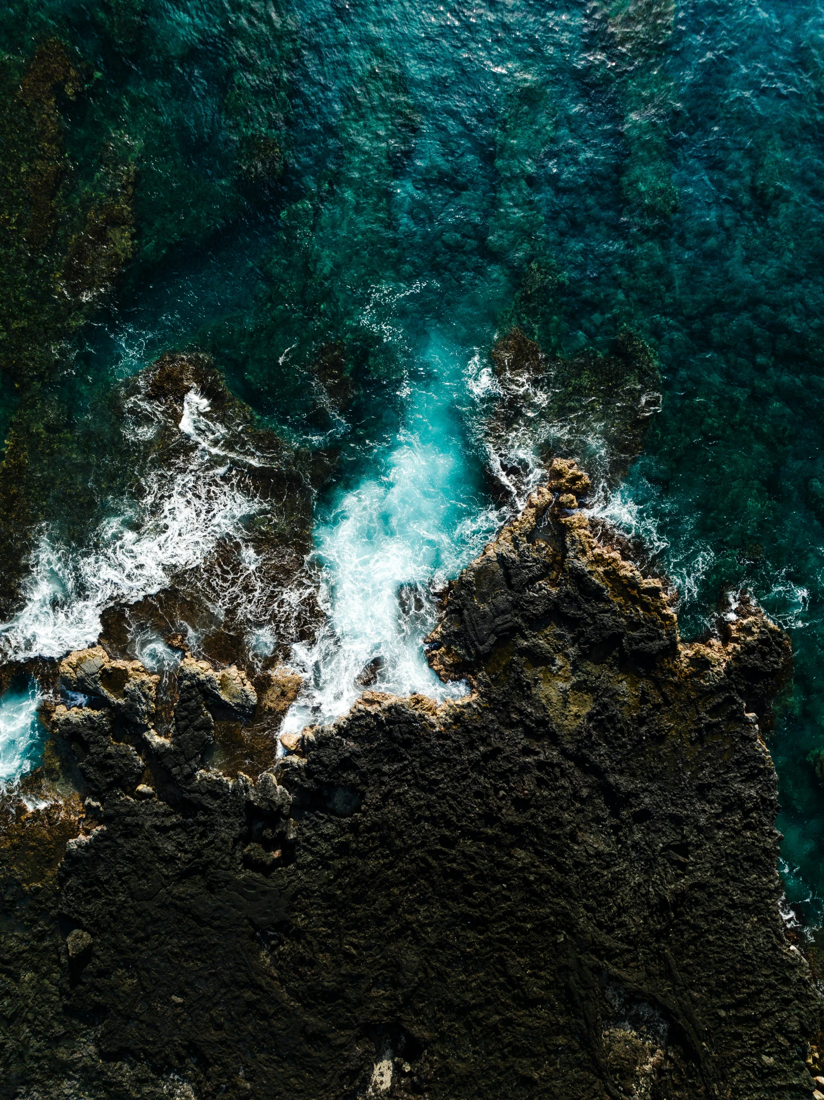 water and rocks near the shore with green grass