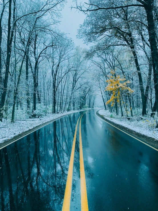 a street with trees and water in the middle of it