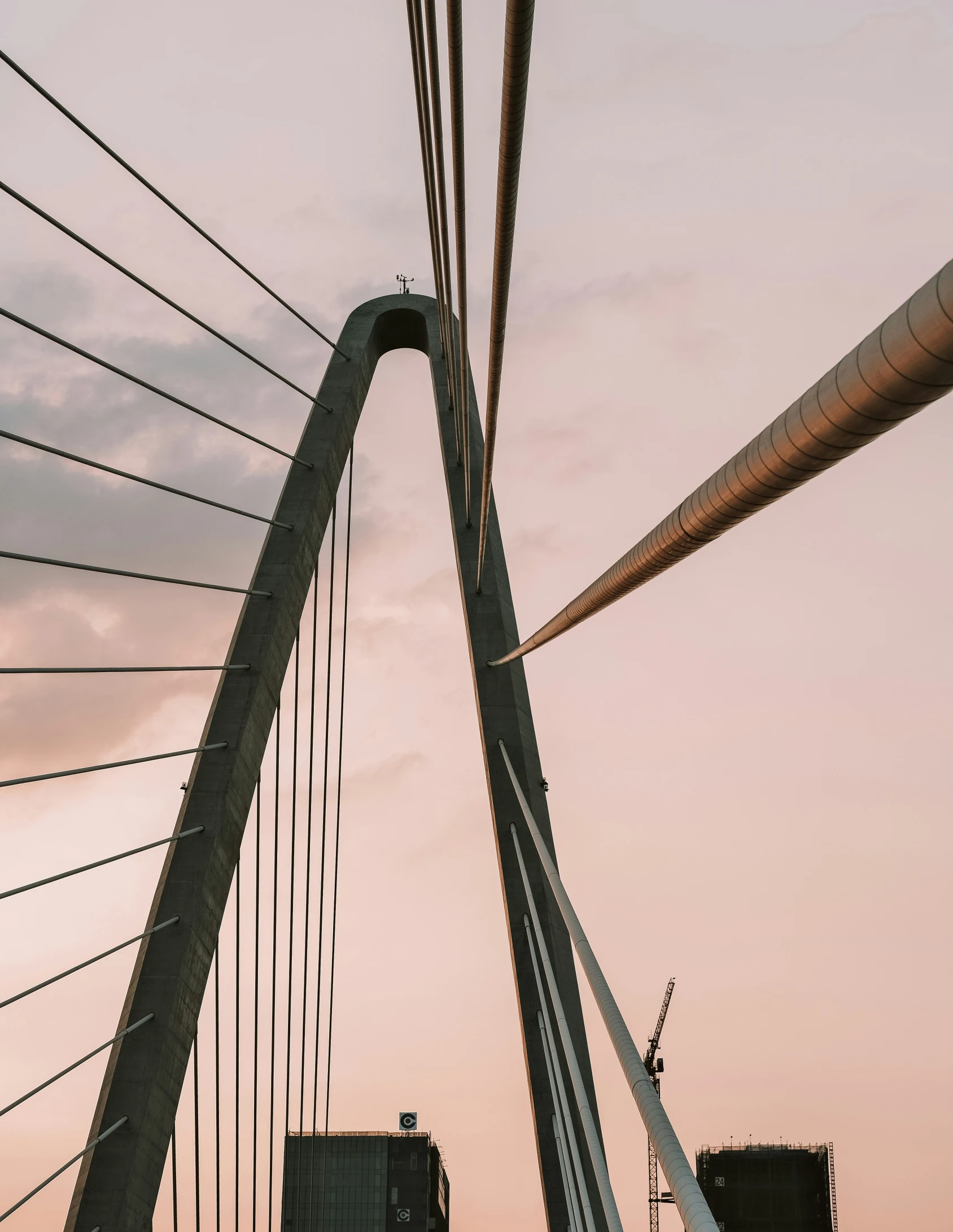 a view of the bridge, its cables and the city buildings