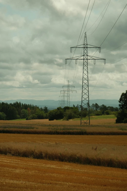 an old farm field has power lines that run along