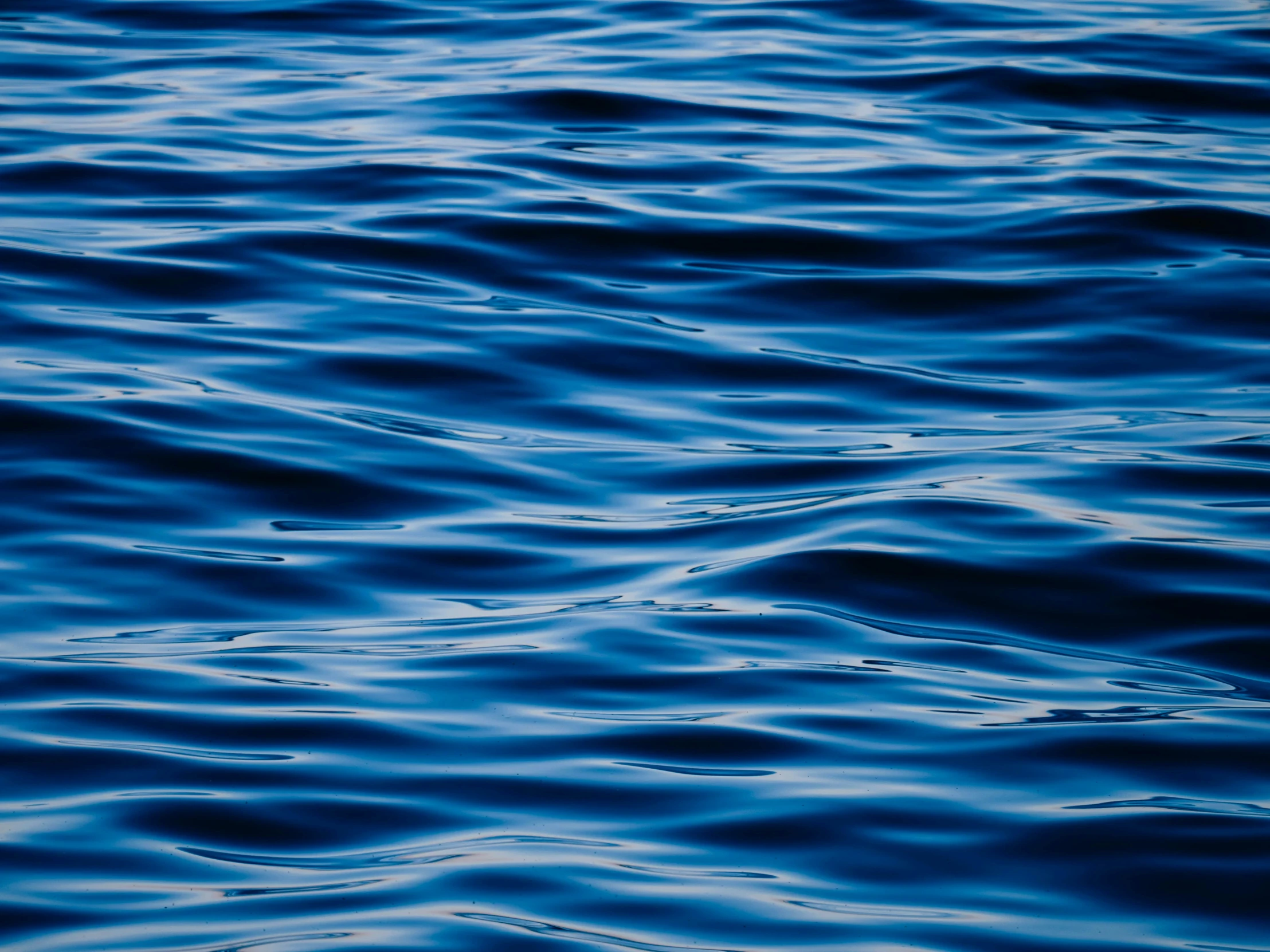 a water surface with wavy lines on it