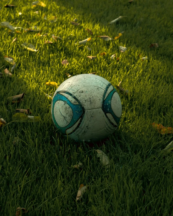 a soccer ball laying in the grass with a background