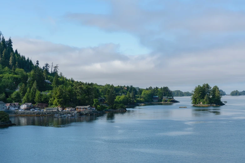 there is a small village with many trees by the river