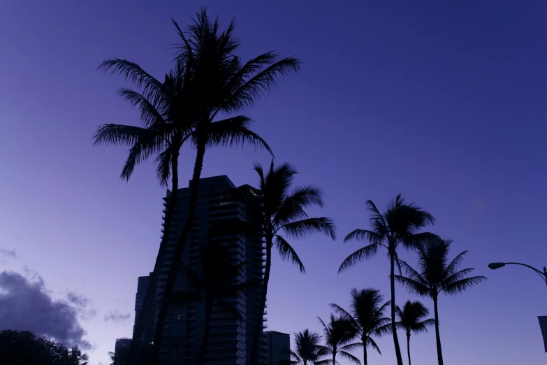 a sunset view of a palm tree, building and sky