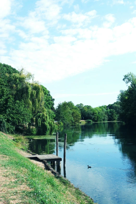 a bench on a bank near the water