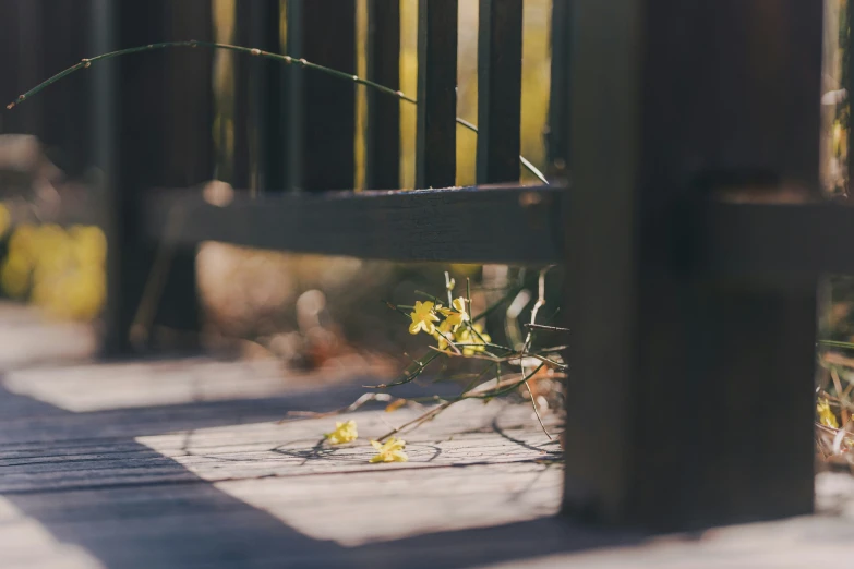 a wooden bench sitting on top of a sidewalk