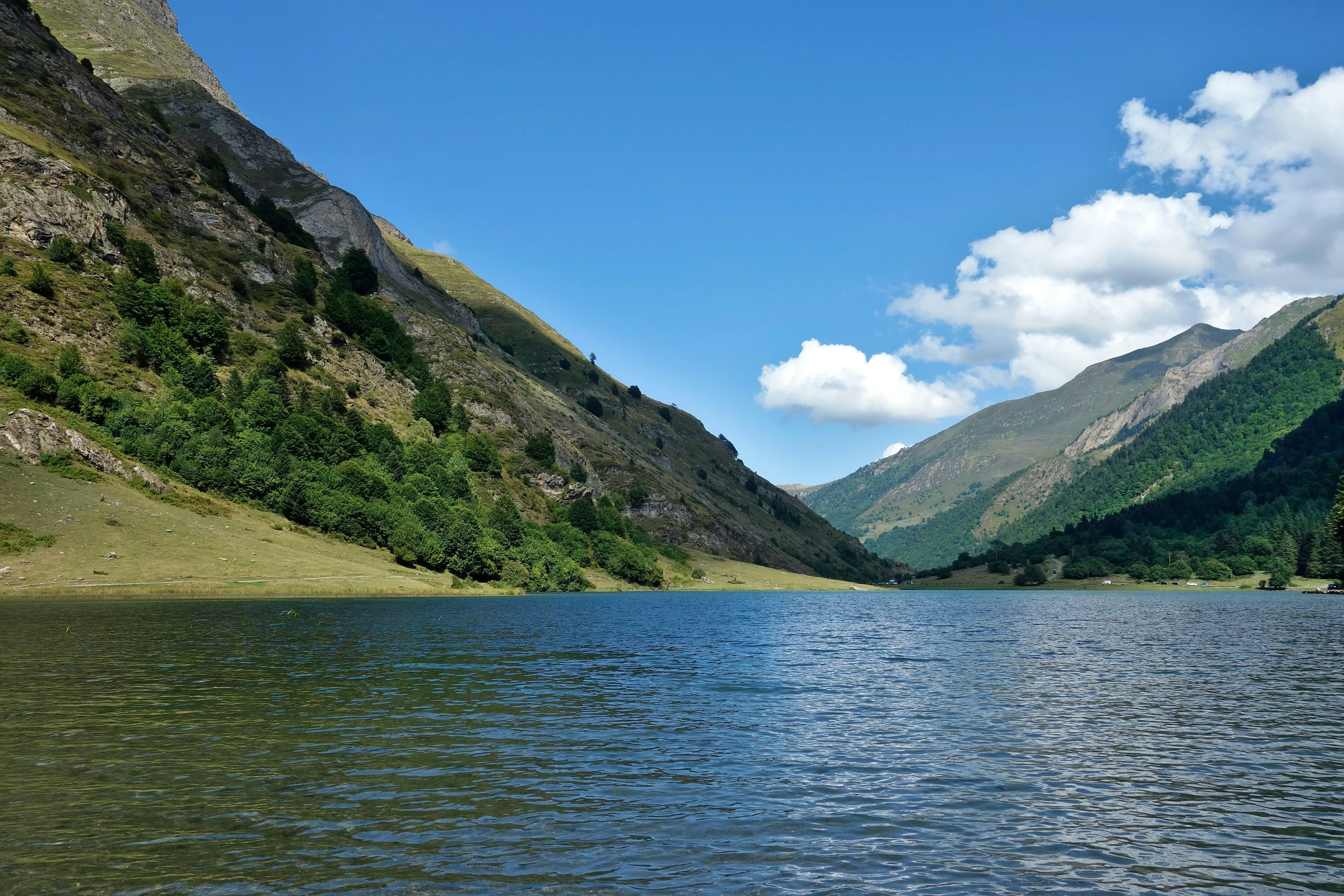 a calm mountain river with trees and shrubs