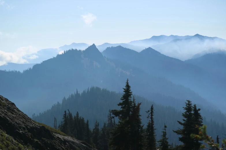 the mountain is covered in trees with thick clouds