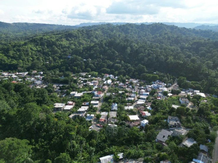 many people live in some homes on this hill