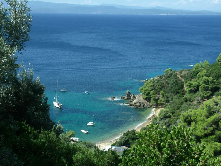 boats anchored on the water off a hillside