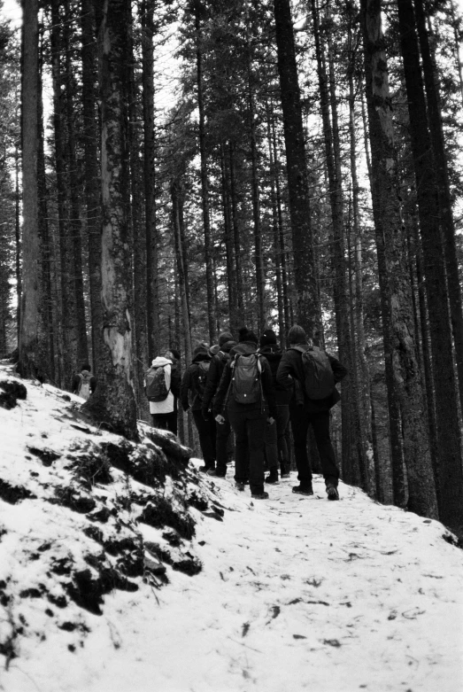 black and white image of a group of people walking on a snowy trail