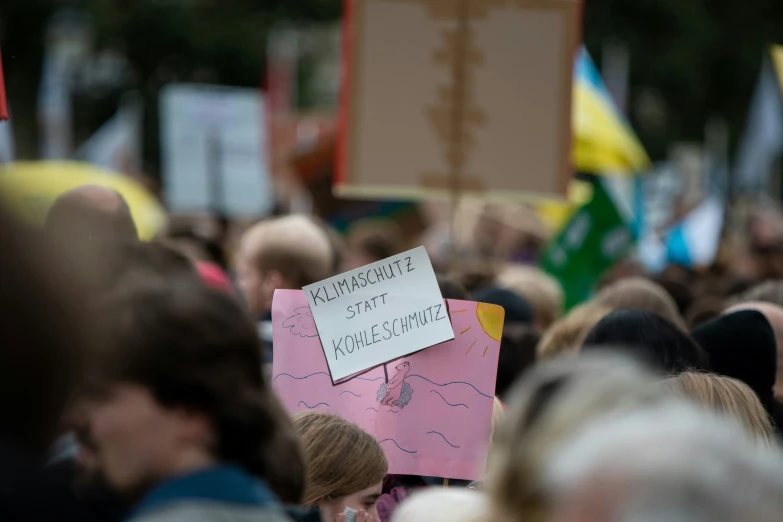 a large crowd of people holding signs and flags