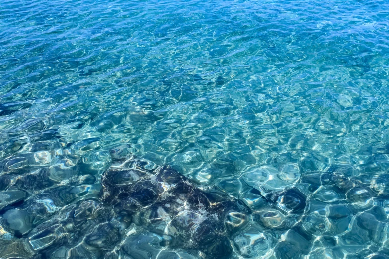 clear water reflects light on an overcast day