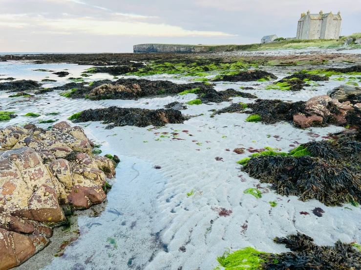 small rocky beach next to ocean with a castle in background