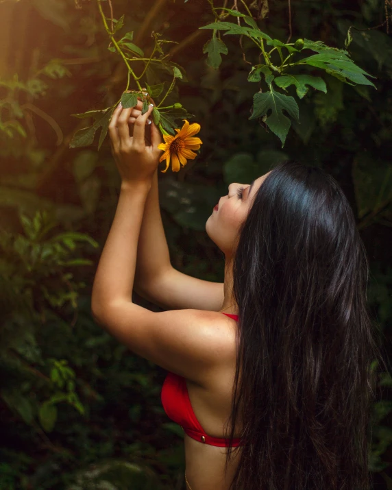 woman in a red bikini holding sunflower next to her head