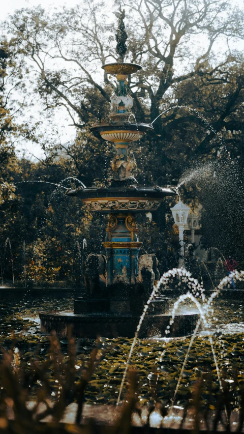 an elaborate water fountain next to trees and shrubs