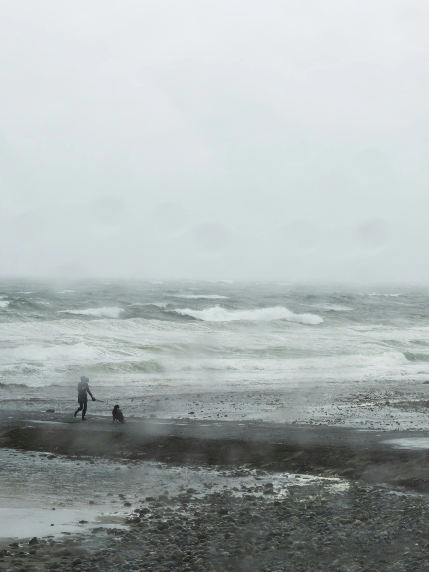 two people standing at the edge of the ocean with their dog