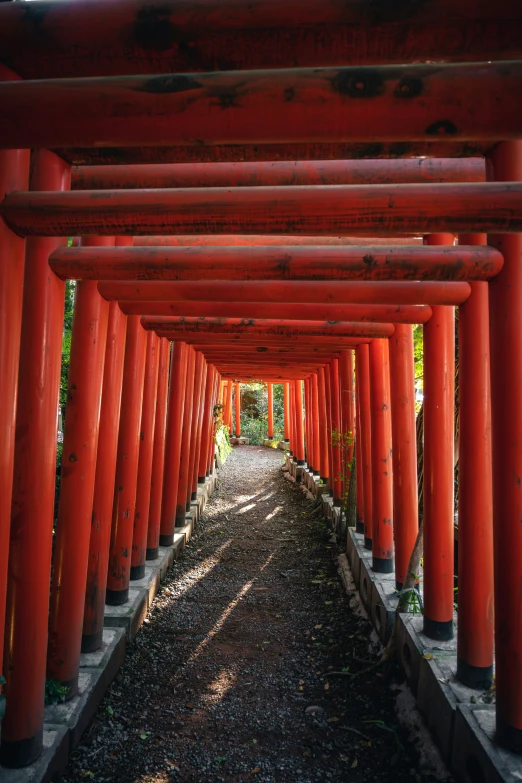 a tunnel of red columns lined with rocks