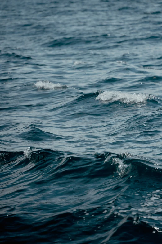 a surfer on an ocean wave coming towards the camera