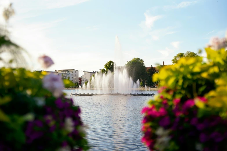 the water and fountain show off beautifully flowers