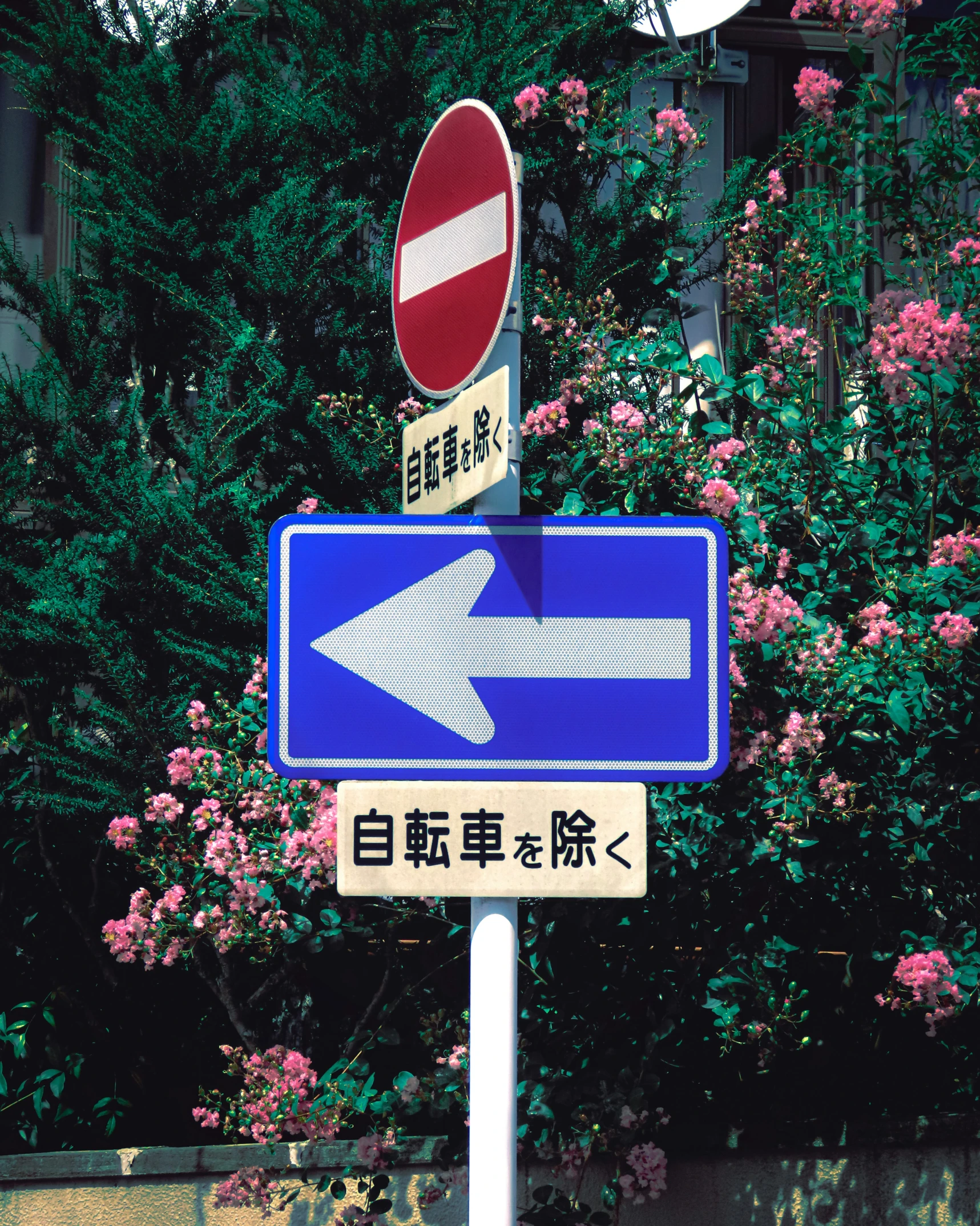 street signs point in two directions with oriental writing