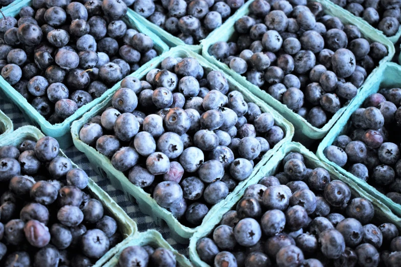 baskets of blueberries sit ready for sale