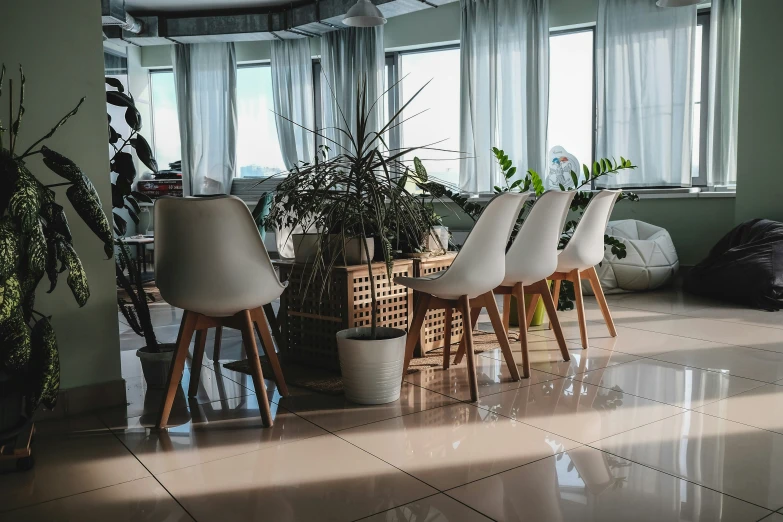 chairs and potted plants sit at the table in a sunny room