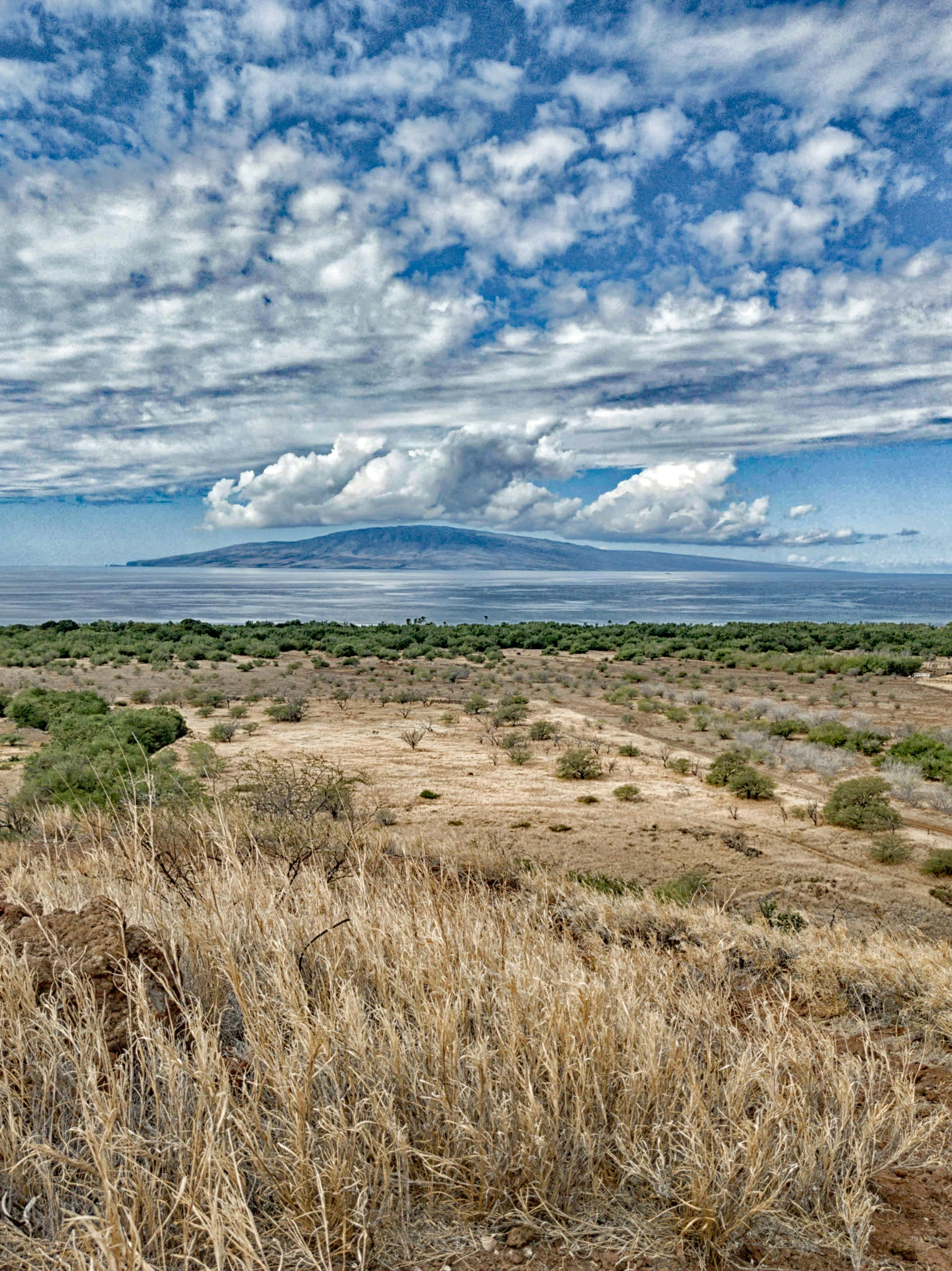 a large field of brown grass with some clouds in the background