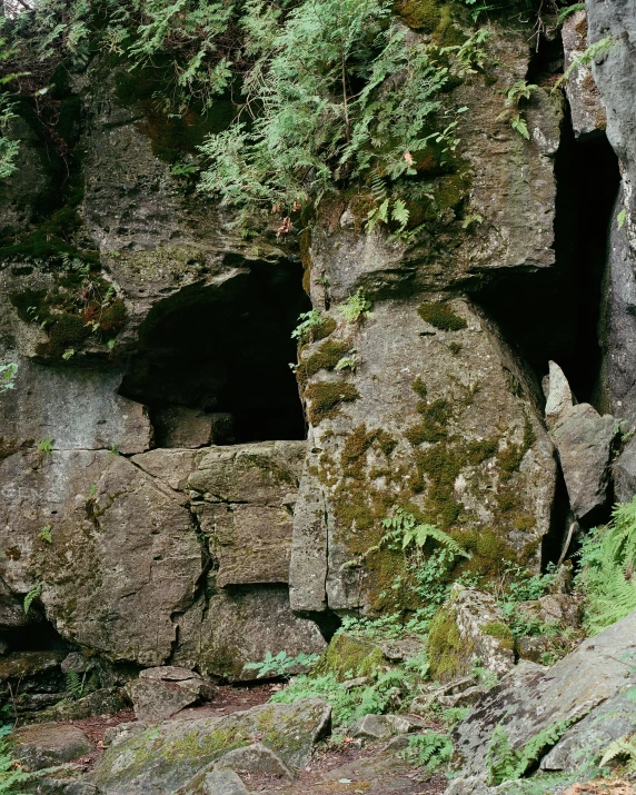 a rock wall in the middle of a field with small bushes on top