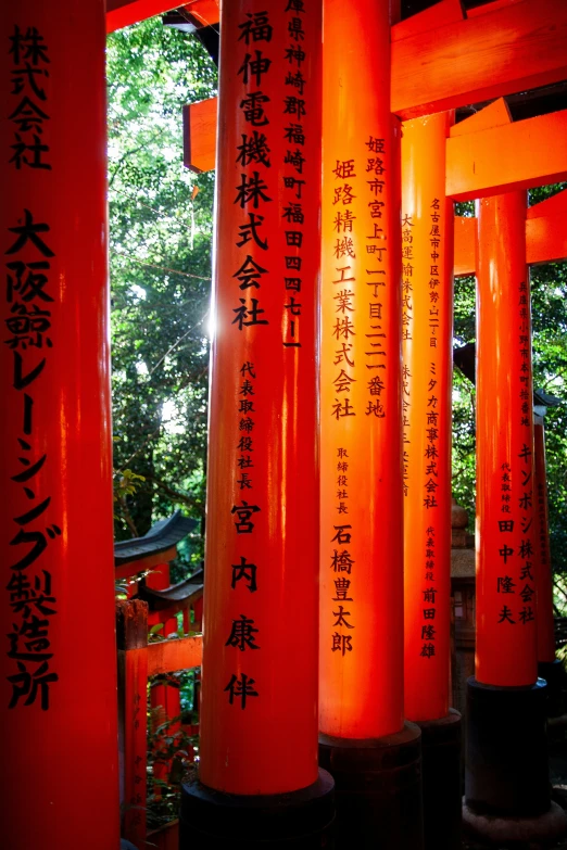 many orange lights are lit up along the wall in a park