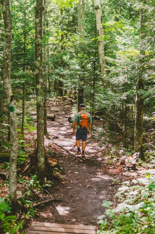 a man is hiking through the woods with backpack