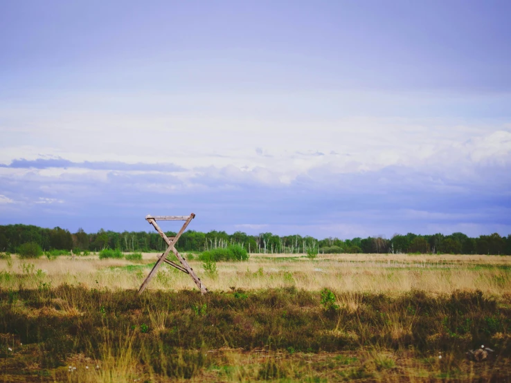 a large cross in a field near trees