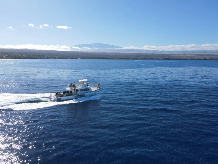 a white boat in a body of water