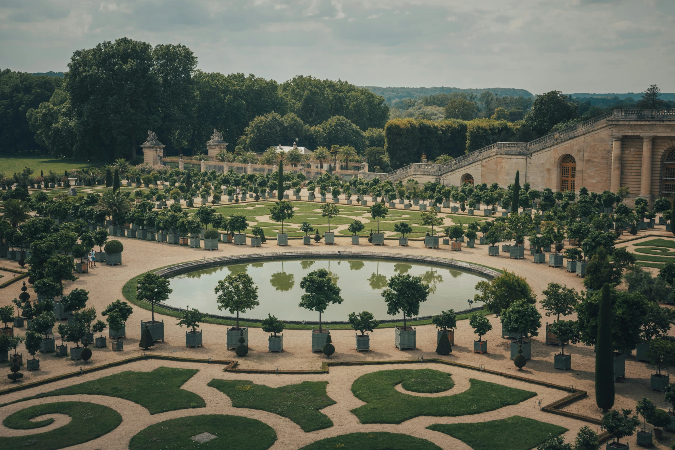 the garden has many trees and a water feature in it