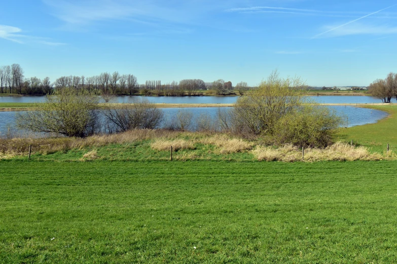 a grassy field on a hill in front of a lake