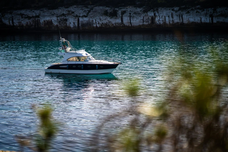 a small boat in the water surrounded by vegetation